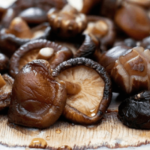 nam huong rung tay bac lam