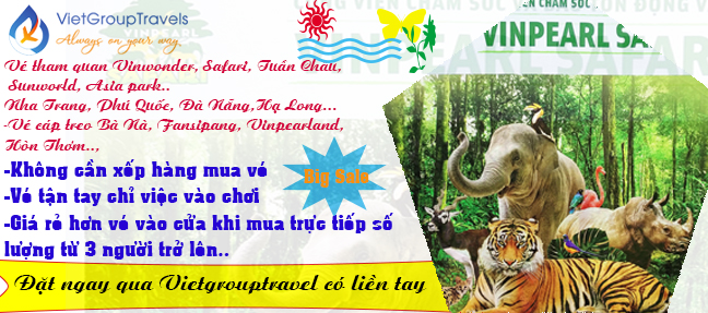 ve vui choi vinwonder safari