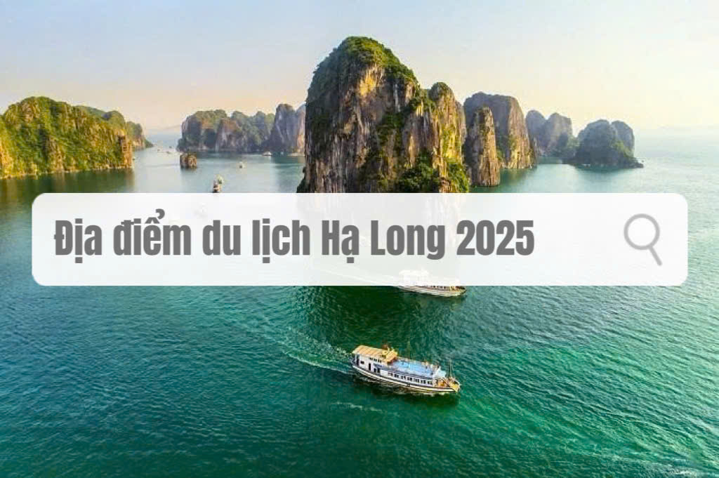 Địa Điểm du Lịch Hạ Long
